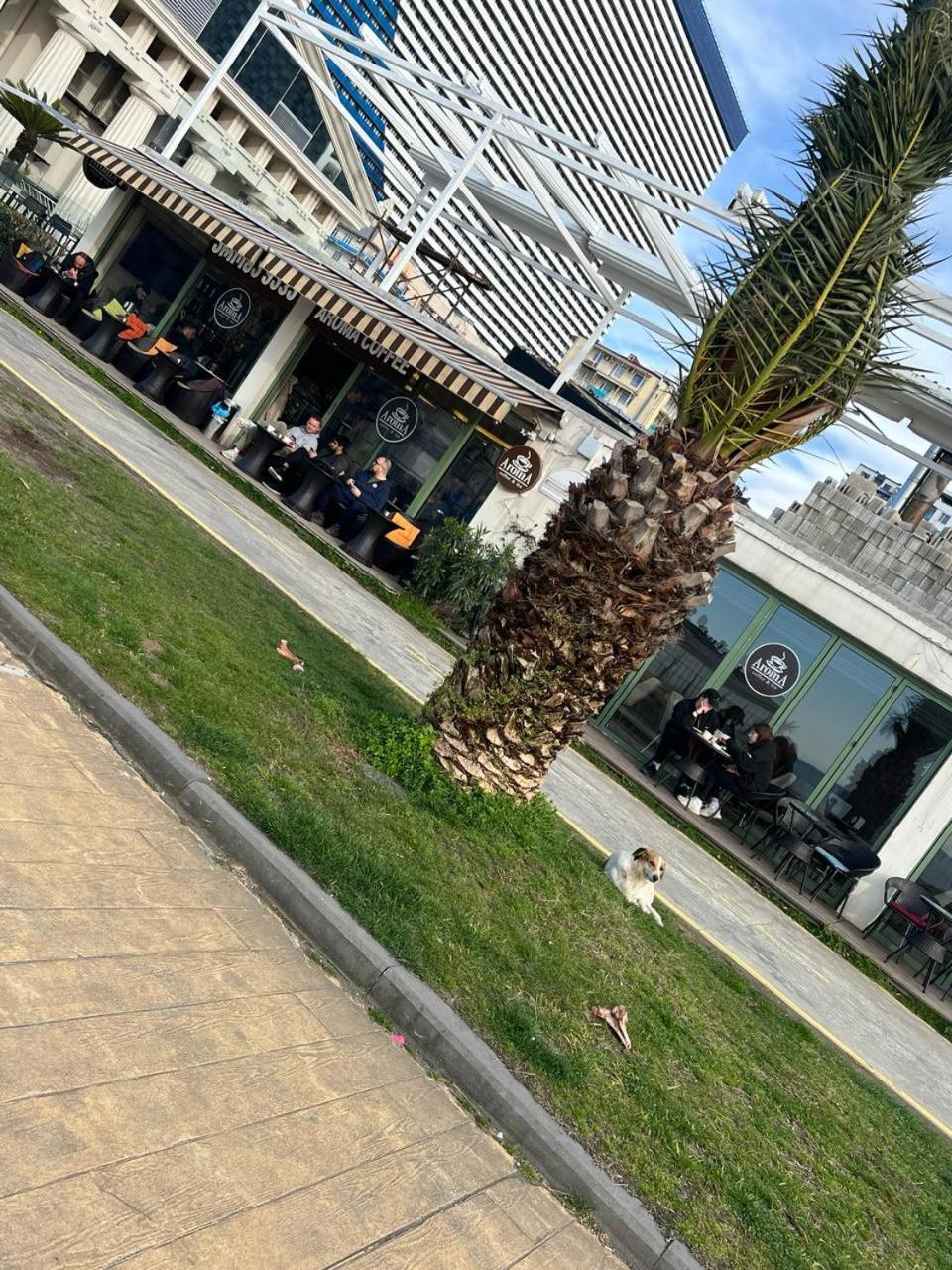 Hotel Paris Batumi Zewnętrze zdjęcie